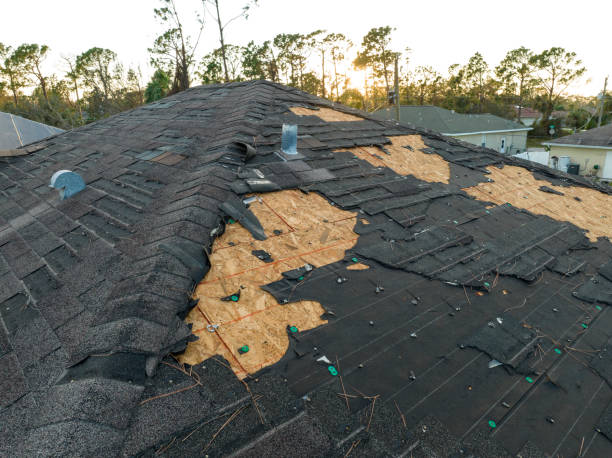 Best Storm Damage Roof Repair  in Darien, IL