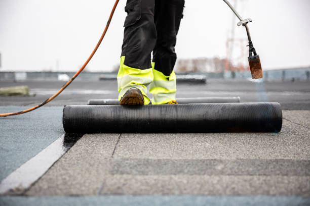 Best Rubber Roofing (EPDM, TPO)  in Darien, IL