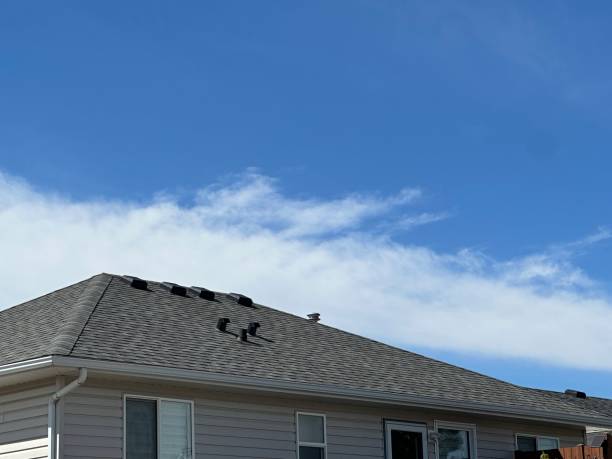 Best Slate Roofing  in Darien, IL